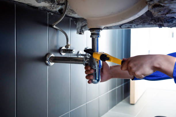 Best Garbage Disposal Repair and Installation  in Pheasant Run, OH